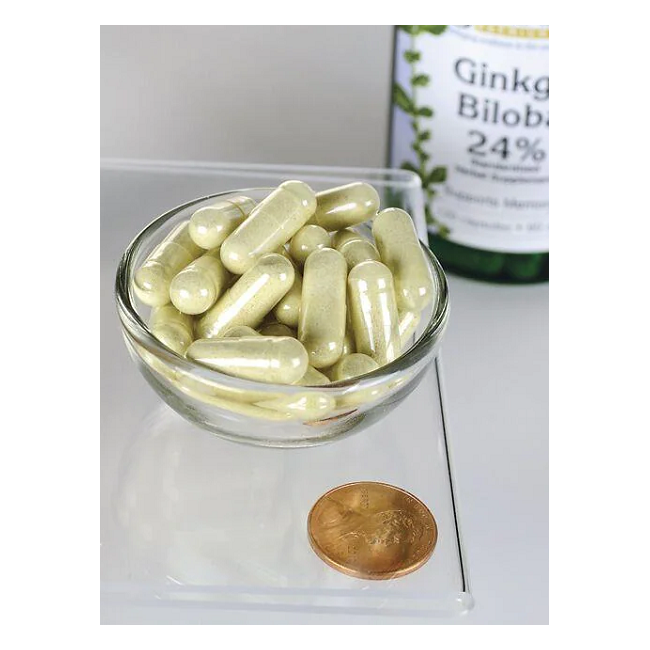 Ginkgo Biloba Extract 60 mg 120 Capsules