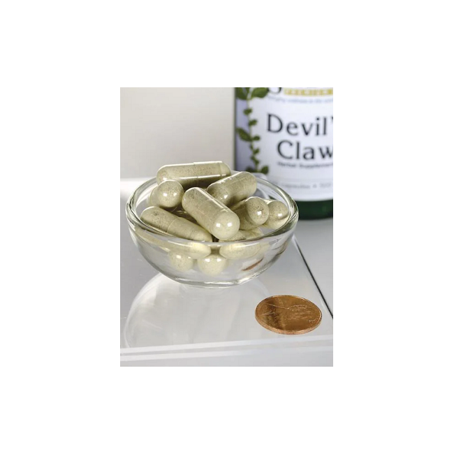 Devil's Claw 500 mg 100 Capsules