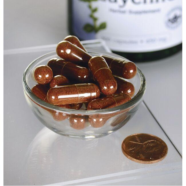 Una ciotola di Swanson Cayenne - 450 mg 300 capsule e un centesimo.