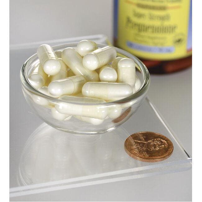 Una ciotola di Swanson pregnenolone - 50 mg 60 capsule accanto a un centesimo, che promuove le funzioni cerebrali con il pro-ormone pregnenolone.